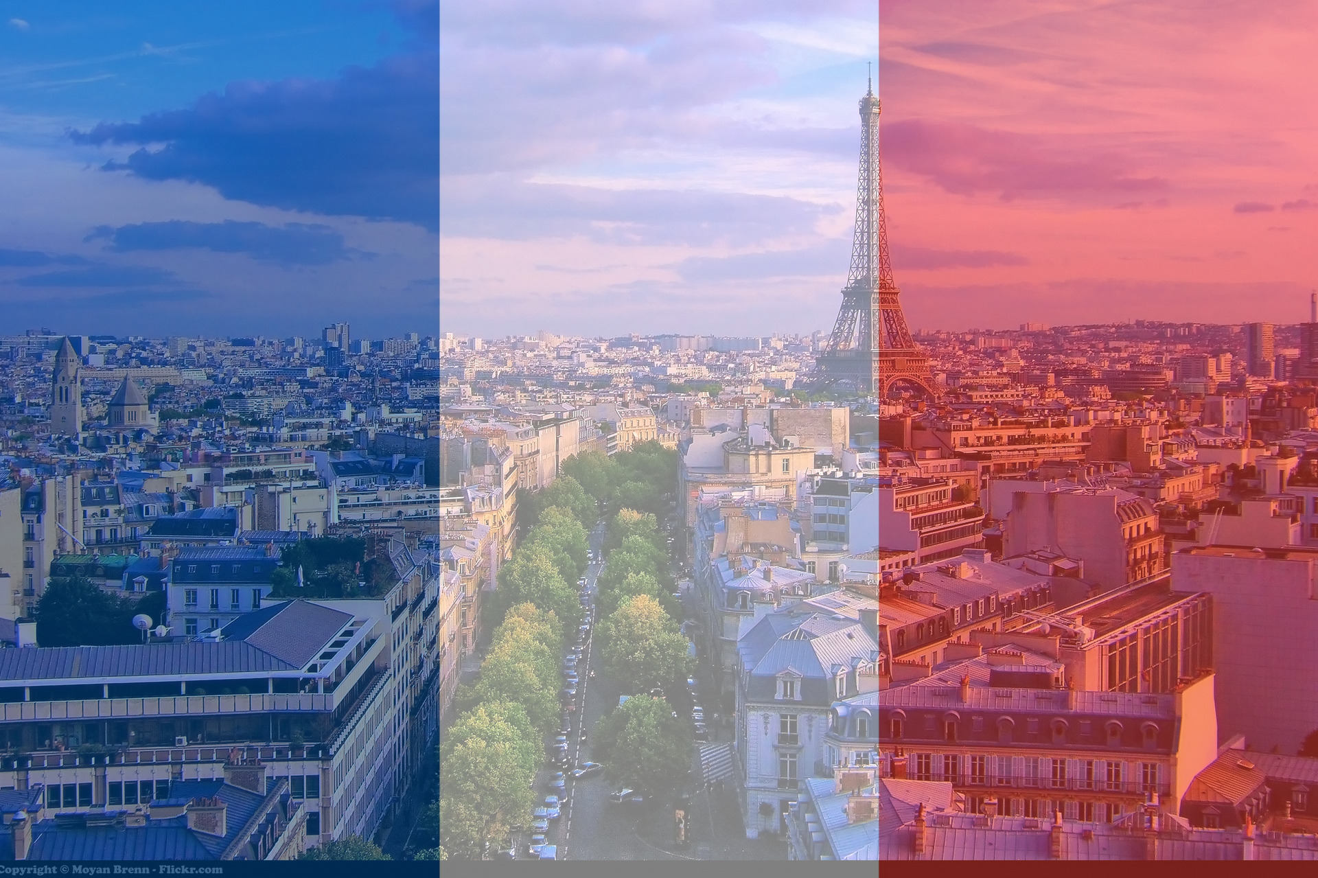 Learn French Free